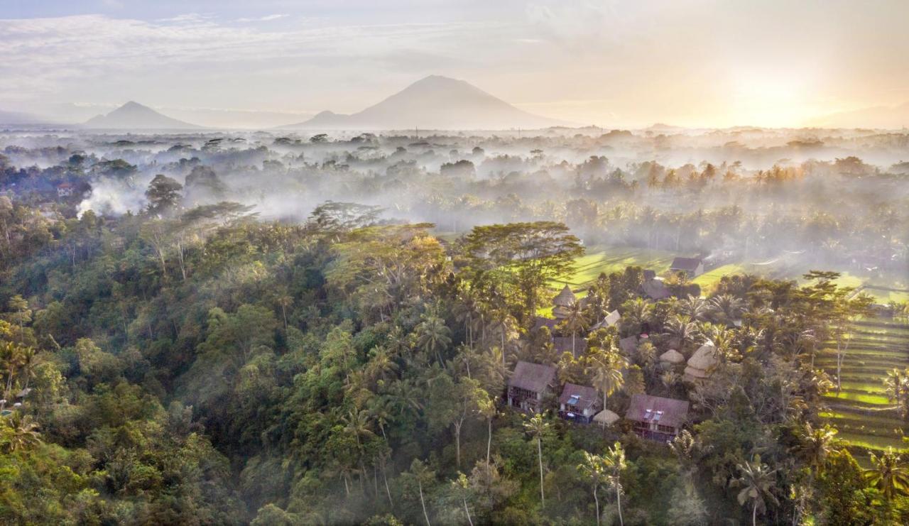 Blue Karma Dijiwa Ubud Exteriér fotografie